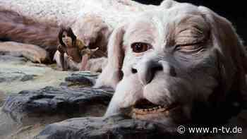 Filmklassiker neu aufgelegt: "Die unendliche Geschichte" bekommt Remake