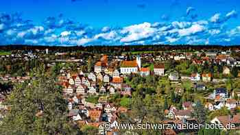 Haushalt Altensteig: Vollbremsung bei Investitionen hingelegt