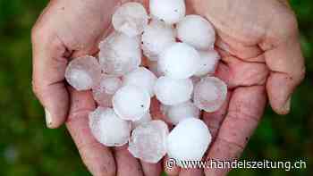 Hagelschäden in Landwirtschaft kosten mehr als 30 Millionen Franken