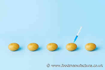 Researchers turn to gene editing to make potatoes commercially viable