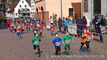 22. Hesse-Lauf in Calw: Paul Schmid läuft  dem Feld davon