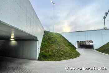 Geen licht op brug Kempische Steenweg, maar ook niet in fietstunnels eronder