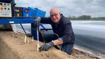 Het witte goud steekt de kop op: "In 43 jaar niet zo vroeg gestoken"