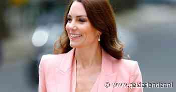 Britse regering steunt Catherine na vermeend datalek