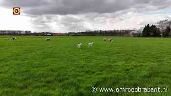 Het was een heerlijke eerste lentedag en dat zag er zo uit