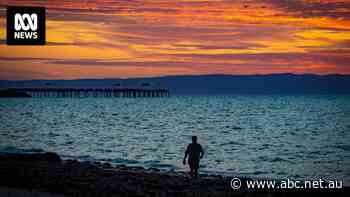 More than a decade since Craig Emerson sung 'no Whyalla wipe-out', how is the city actually faring?