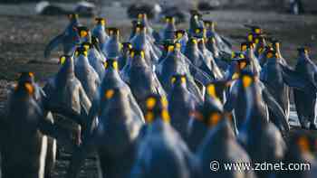 My top 5 user-friendly GUI backup tools for the Linux desktop (and why you need one)