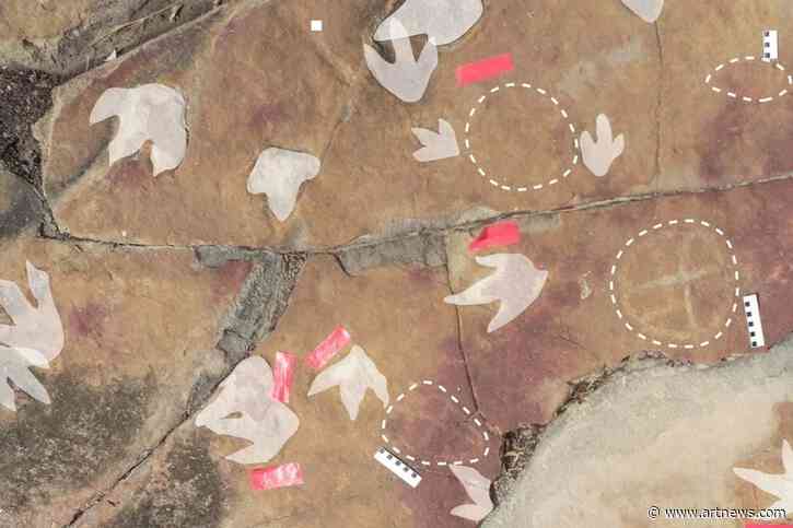 ‘Invaluable’ Petroglyphs and Fossilized Footprints Found in Brazil’s ‘Dinosaur Valley’