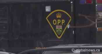 Auto theft: Ontario and Montreal police reportedly working on joint investigation