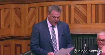 New Brunswick Tories want Liberals to join call to scrap carbon tax