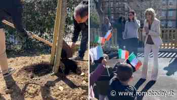 Portuense, piantati in una scuola gli alberi donati dall’ambasciata d’Irlanda