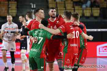 Helemaal op finalekoers: Greenyard Maaseik is nu ook maatje te groot voor Aalst