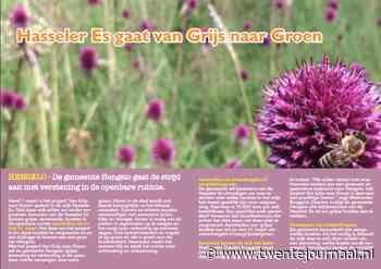 Hasseler Es gaat van Grijs naar Groen