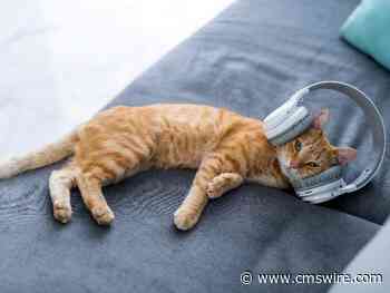 5 Ways Active Listening Can Improve CX