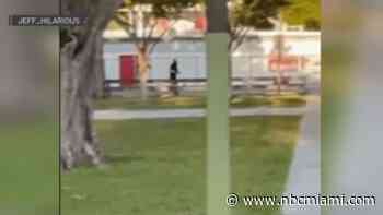 Cellphone video shows police shooting armed man in NW Miami-Dade park