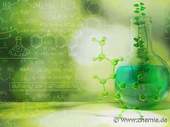 Neuer Masterstudiengang „Sustainable Chemistry“