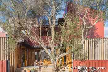 Olive Tree House by Bastian Architecture