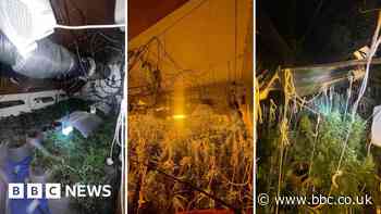 Goole: Man charged after large cannabis farm discovered