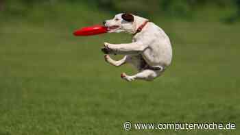 10 Tricks für Visual Studio Code