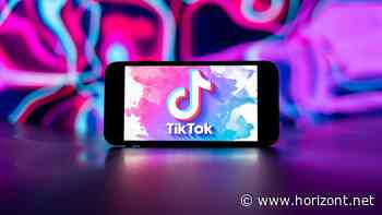 Sicherheitsbedenken: Deutsche Politiker für schärferes Vorgehen gegen Tiktok