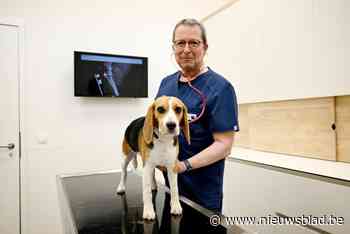 Zelfs buitenlandse huisdieren komen naar deze vernieuwde dierenkliniek: “We zijn drie keer zo groot”