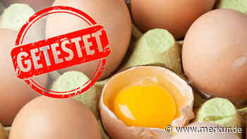 Eier im Öko-Test – beliebte Discounter liefern deprimierendes Ergebnis