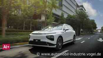 Diese chinesischen Automarken starten 2024 in Deutschland