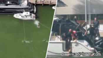 ‘I did what I could': Would-be rescuer speaks as person who fell into Miami River from boat dies