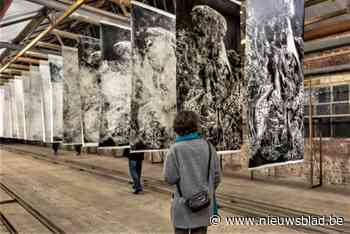 Unieke locaties zetten deuren open voor Kunstroute