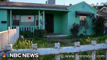 Calif. firefighters rescue over 80 dogs in hoarding intervention