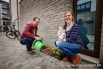 Jong Mechels gezin trekt VK tegelwippen mee op gang: “We hebben ook Irissen geplant voor ons dochtertje”