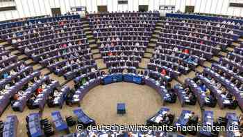 Umfrage des ifo-Instituts: Familienunternehmen kritisieren EU-Wirtschaftspolitik