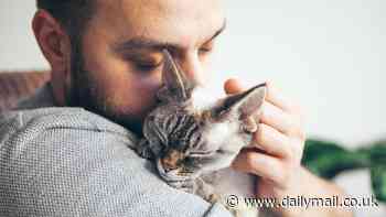 Forget the 'crazy cat lady' stereotype! MEN are much more likely to adopt cats in the UK, study finds