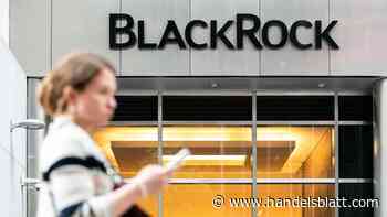 Interview: Blackrock-Deutschlandchef: „Die politischen Umfragewerte werden von Investoren mit Besorgnis gesehen“