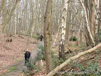 Joyden’s Wood Bexley: WW2 bomb found