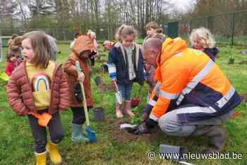 Speelplaats van GBS De Regenboog wordt groener en uitgebreid met natuurpark