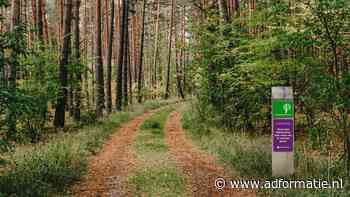 Natuurhuisje biedt Praatpaadjes voor gesprekken tijdens boswandeling