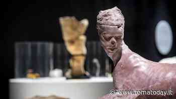 "Oltre lo spazio, oltre il tempo. Il sogno di Ulisse Aldrovandi" al Museo Civico di Zoologia