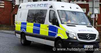 Police seize 'banned' dog during east Hull raid
