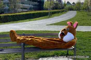 Nieuw Zuid viert Pasen met buurtfeest op Panamarenkoplein