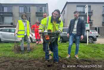 2.200 nieuwe haagplanten voor Aarschot,  en minister kwam ze hoogstpersoonlijk planten