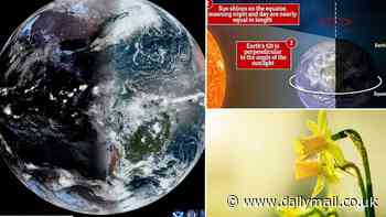 Watch the moment spring officially sprung: Incredible timelapse video captured by a satellite reveals the sun shining directly over Earth's equator