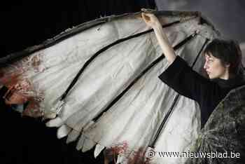 Kunstenfestival Stormopkomst: Kika Ilegems maakt dansvoorstelling met vader Herwig