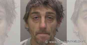 Hull sex offender locked up after committing 'precisely the same offence' again