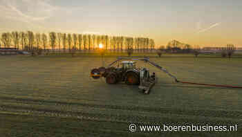 Rundveemest stuk gewilder door simpele rekensom