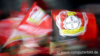 Deswegen trackt Vodafone Fans von Bayer Leverkusen