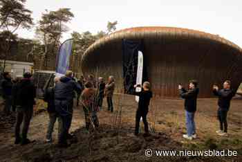 7,5 meter hoog en 50 meter lang: nieuw kunstwerk in Bosland toont ware omvang