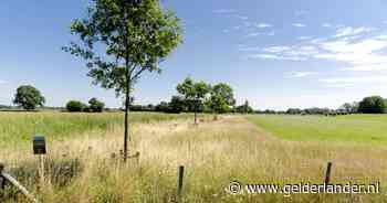 Ik noemde de Achterhoek, met meer koeien dan mensen, de Achterlijkhoek; Nu denk ik: zo achterlijk zijn die mensen niet