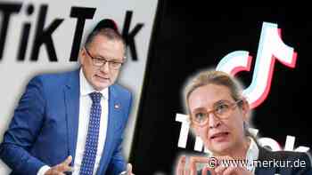 AfD im Umfragehoch: Studie entlarvt Mythen über Wähler der Rechtspopulisten