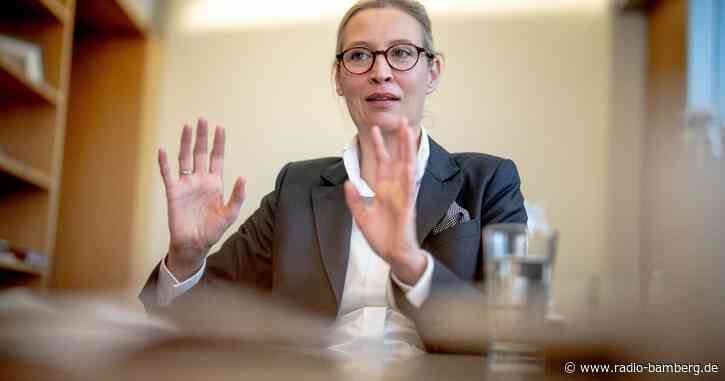 Weidel: Entscheidung zu AfD-Kanzlerkandidatur erst später